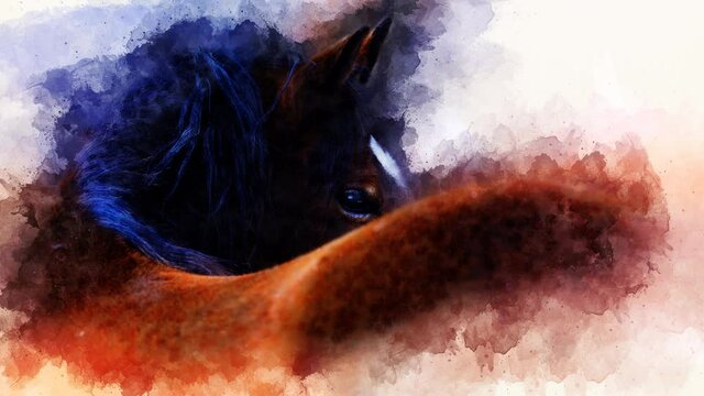 horse face and softly blurred watercolor background.