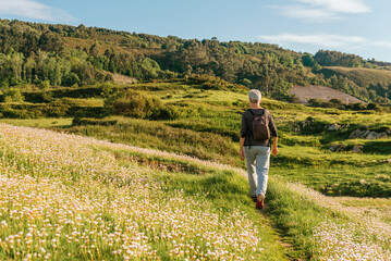 Fototapeta premium elderly woman doing low intensity exercise to stay healthy. Senior citizen pensioner walking through a field of flowers.