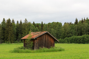 Fototapeta na wymiar old crumbling wooden cabin in a field