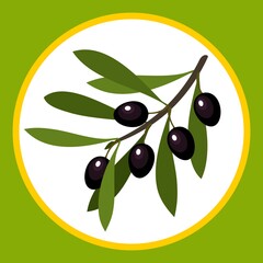 Stylized drawn olive fruits on a branch with leaves. Vector illustration.
