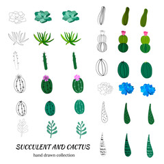Set of hand drawn cacti and succulents. Spiny desert plants, cactus flowers and tropical plants. Vector collection of doodle plants.