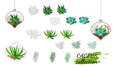 Fototapeta na wymiar Set of hand drawn cacti and succulents. Spiny desert plants, cactus flowers and tropical plants. Vector collection of doodle plants.