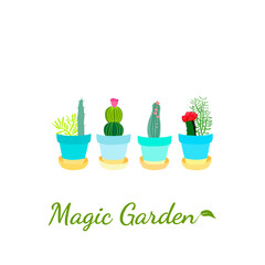 Set of hand drawn cacti and succulents. Collection of plants in pots. Spiny desert plants, cactus flowers and tropical plants. Vector collection of doodle plants.