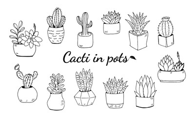 Set of hand drawn cacti and succulents. Collection of plants in pots. Spiny desert plants, cactus flowers and tropical plants. Hand-drawn illustration in a sketch style.