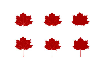 red maple leaves icon different design on white background.maple leaf sign,flat style.concept for sign, symbol, icon ect