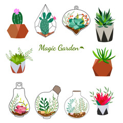 Set of hand drawn cacti and succulents. Collection of plants in pots. Spiny desert plants, cactus flowers and tropical plants. Vector collection of doodle plants.