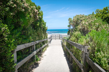 Obraz premium path to the beach