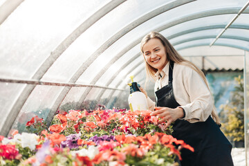 A cheerful female gardener, spraying fresh water on the petals of colorful flowers, works in a greenhouse.