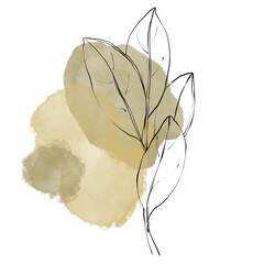 Digital watercolor and line art magnolia background. Lina drawing  flowers on white background for create wallpapers on desktop, scrapbook paper, web design