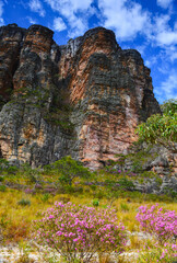 Rocky spires and cerrado vegetation on the entrance of the Cânion do Funil canyon, Presidente Kubitschek, Minas Gerais, Brazil	