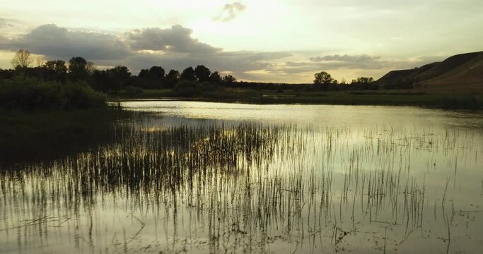 Source of the river with beauty calm swampy backwater with reeds and thickets and bald hills background. Aerial above drone wide view at summer evening sky.