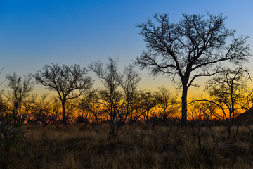 Fototapeta na wymiar Sunset on the woodlands of southern Kruger National Park, South Africa