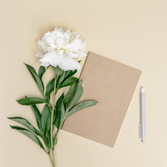 Feminine desktop, closed notebook, pen, fresh white peony flower on beige background with copy space. Summer work concept