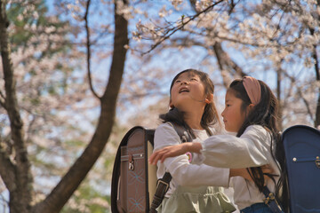 桜の下、入学する姉妹