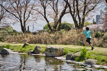 Fototapeta premium 鴨を追いかける子供
