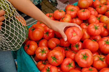 Plant based diet concept. Young woman with reusable eco friendly net bag picking fresh tomatoes on farmers market. Conscious shopping for organic local vegetables. Close up, copy space, background.