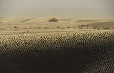 Sand dunes near the town of Fiambalá, Catamarca, Argentina