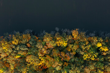 Aerial view of beautiful autumn forest on riverbank