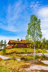 Norwegian wooden cabins cottages in the nature landscape Nissedal Norway.