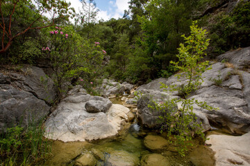 Travel through the Goyniuk Canyon. Beautiful places in Turkey. Mountain river and rocks in Kemer.