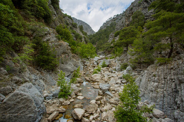 Travel through the Goyniuk Canyon. Beautiful places in Turkey. Mountain river and rocks in Kemer.