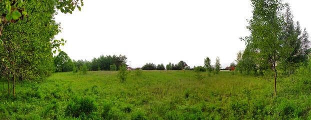 panorama of a plot of land for building a house - 441393859