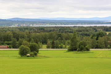 Fototapeta na wymiar field near a forest in the Swedish countryside