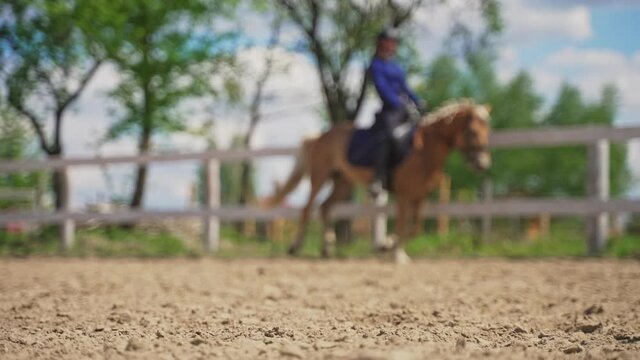 Female jockey on a Palomino horse riding in the sandy arena. Close-up view of the sandy parkour with the horse rider. Equestrian event concept. Wooden fence in the background against trees.