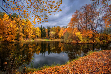  Beautiful autumn lake.