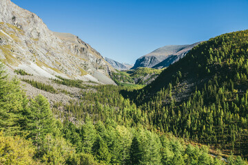 Scenic sunny alpine landscape with narrow valley and green mountains with coniferous forest of larches trees under blue sky. Mountain vastness in sunlight. Beautiful green highland view in sunshine.