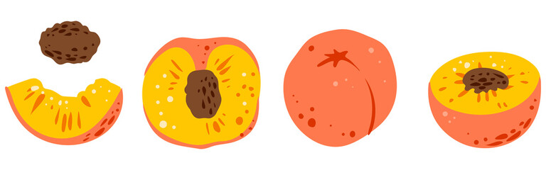 Set of peaches, color, vector