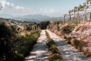 CAMINO ASKIZU