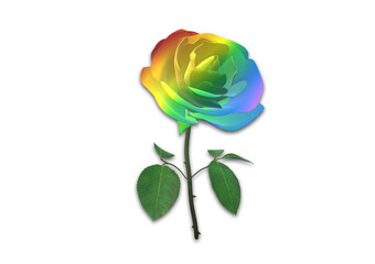 Fototapeta na wymiar Blume, Rose, Regenbogenfarben, Bunt, Grafik