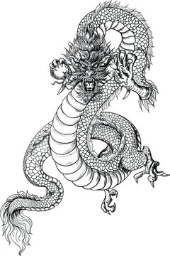 Hand drawn Dragon head isolate on whith background. Chinese lucky animai tattoo