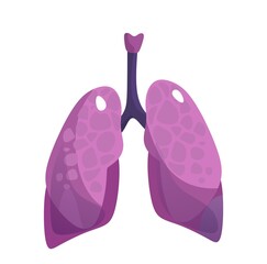 Lungs icon isolated on white background. Colorful human organ cartoon vector illustration. Human anatomy for medical, science or healthcare designs. Flat style.