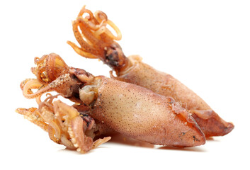 dried  squid isolated on white background 