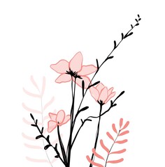 Flowers illustration on white background 