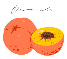 Set of peaches, color, vector