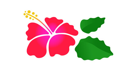 Hibiscus flower with leaves. Vector illustration isolated on white.