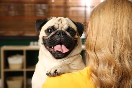 Woman with cute pug dog at home. Animal adoption