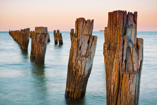 Rows of rustic wooden pillars sticking out of the water