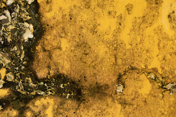 Old yellow wall texture with mold and peeling.