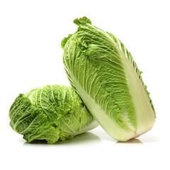 Fototapeta premium cabbage isolated on white background
