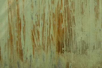 Background with wall texture with old paint and mold fungi