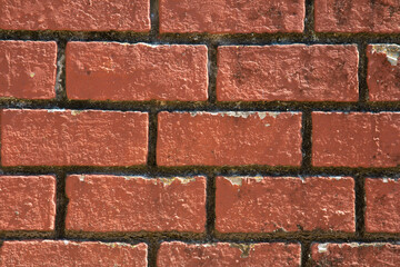Background with red brick texture.