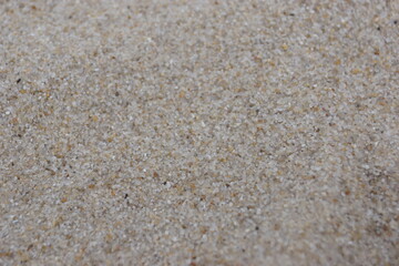 dunes,dune grass and beach on the North Sea