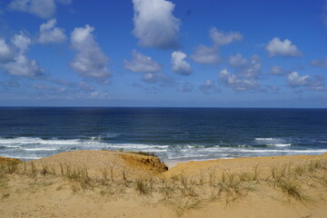 Fototapeta na wymiar dunes,dune grass and beach on the North Sea