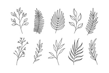 Collection of vector illustrations of leaves in hand drawings.