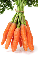 fresh carrot on white background 