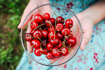 Bowl of fresh organic cherry as healthy snack, for breakfast, dieting, vegan.